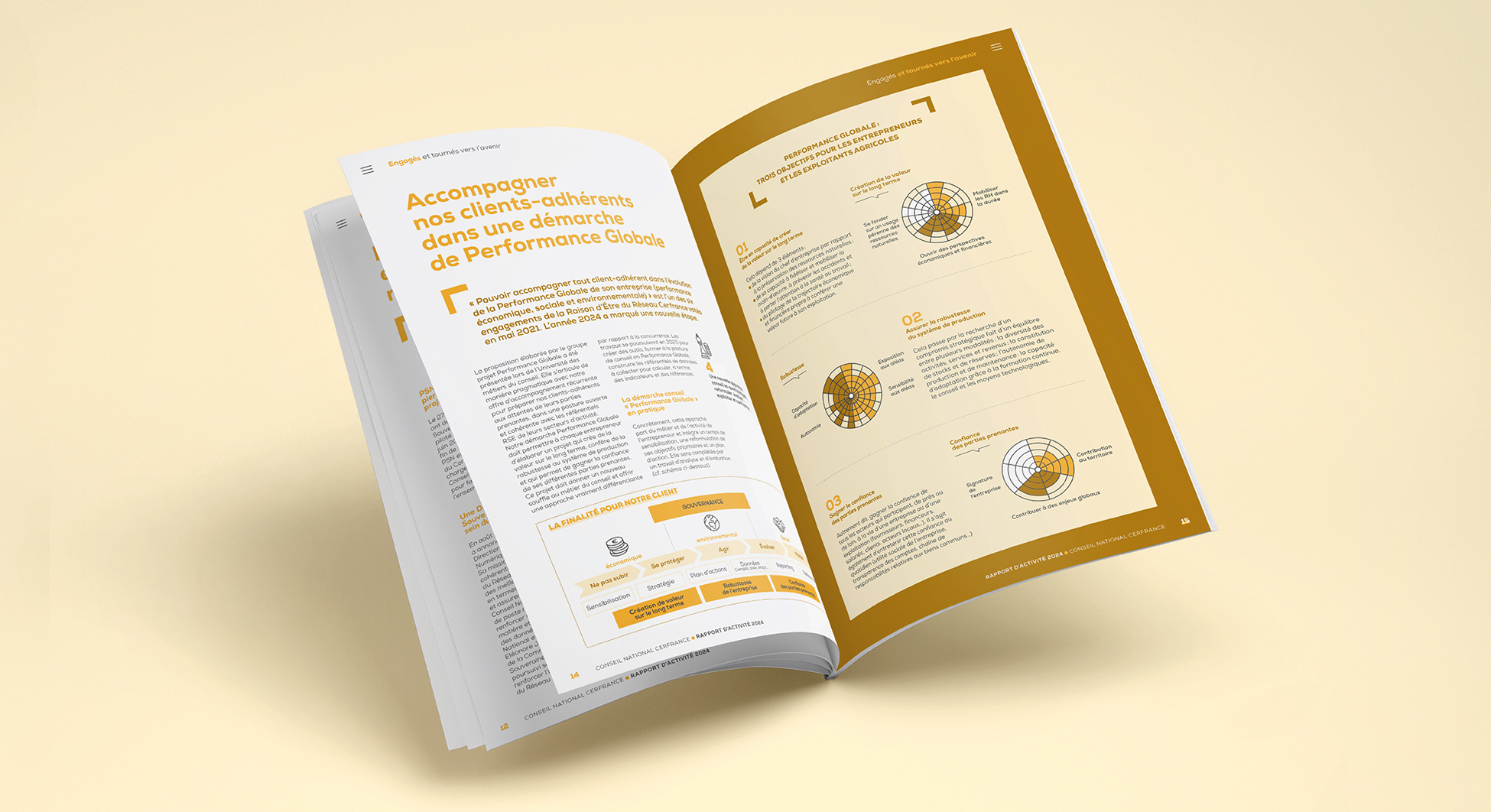 Rapport d'Activités, Cerfrance 4